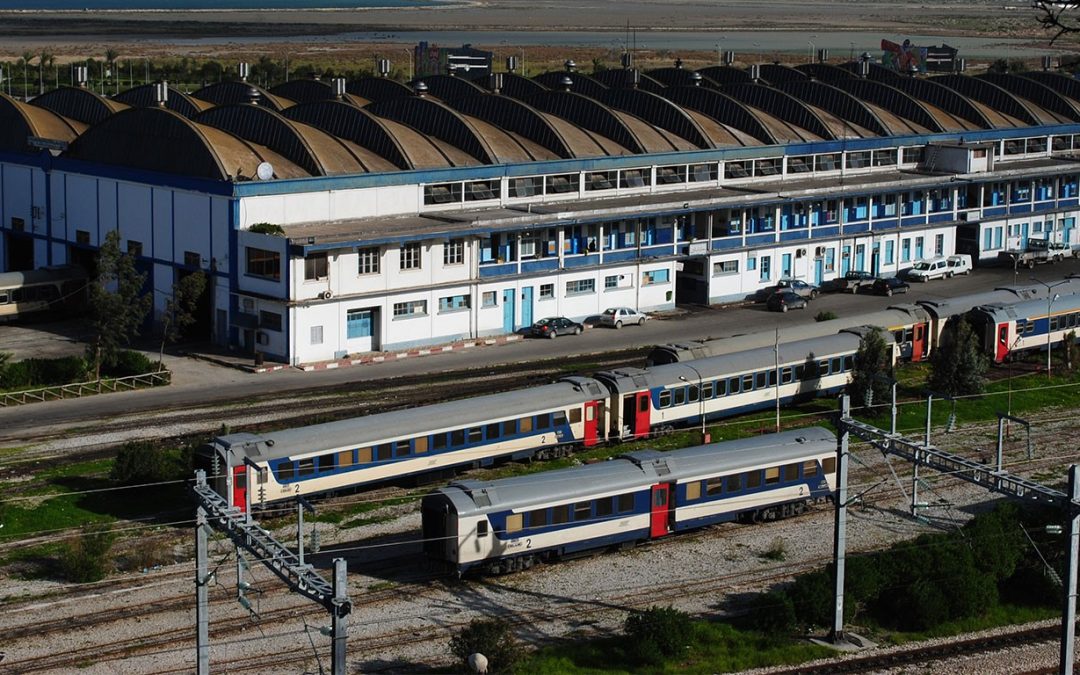 Elaboration of a development plan for the company until 2026