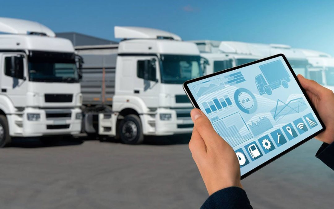 Support for the Consolidation of the Transport Sector Information System (SIS)